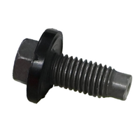 Ford Falcon AU-FG & Territory SZ  4.0 Engine Oil Sump Drain Plug image