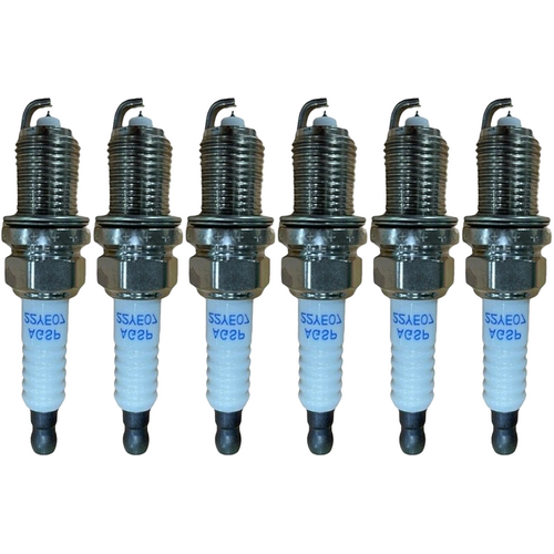 Ford Falcon BF / FG LPG/GAS Spark Plug Iridium Set X6 